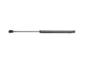 Image of RIDEX Tailgate strut FIAT 219G0146 46783650,7769737,77697370