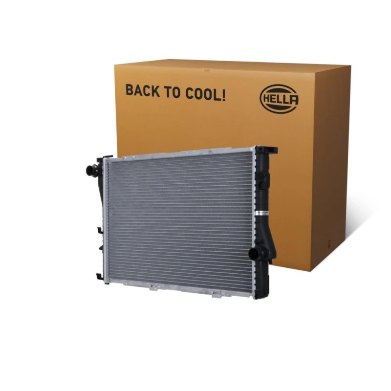 Image of HELLA Engine radiator HELLA 8MK 366 301-021