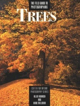 Image of The Field Guide to Photographing Trees by Allen Rokach and Anne Millman and Centre for Nature Photography Paperback
