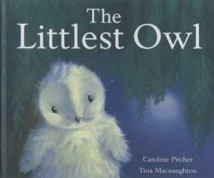 Image of The Littlest Owl by Caroline Pitcher Hardback