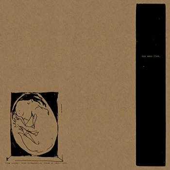 Image of Boysetsfire - This Crying, This Screaming, My Voice Is Being Born Vinyl
