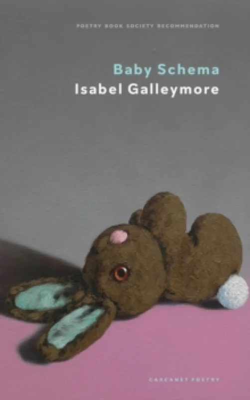 Image of Baby Schema Paperback / softback