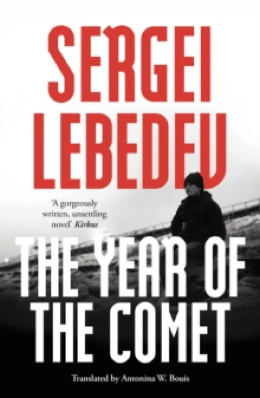 Image of The Year of the Comet Paperback / softback