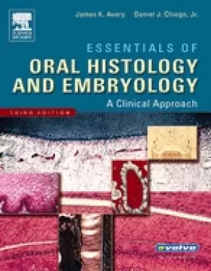 Image of essentials of oral histology and embryology a clinical approach