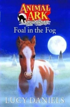 Image of Foal in the Fog by Lucy Daniels Paperback