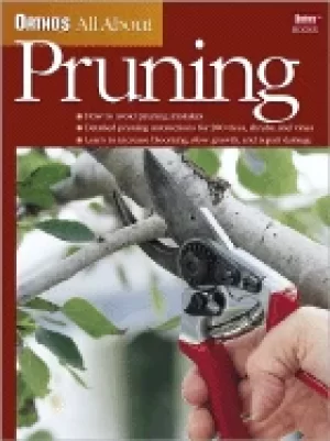 Image of orthos all about pruning