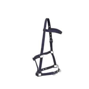 Image of Kincade Nylon Padded Lunge Cavesson - Blue
