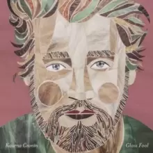 Image of Glass Fool