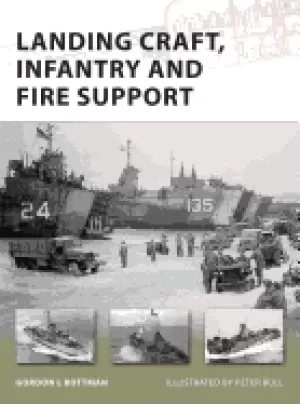 Image of landing craft infantry and fire support