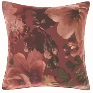 Image of Linen House Floraine Square Pillowcase (One Size) (Multicoloured)