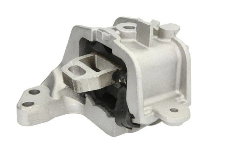 Image of REINHOCH Holder, engine mounting REINHOCH RH11-2160