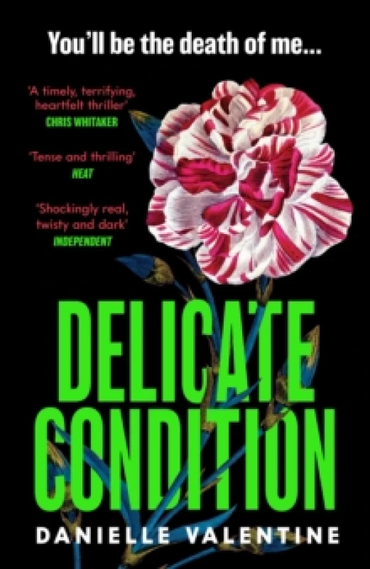 Image of Delicate Condition Paperback / softback