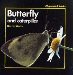 Image of Butterfly and caterpillar by Barrie Watts