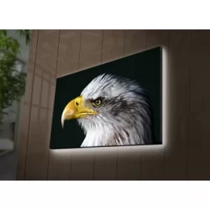 Image of 4570DACT-63 Multicolor Decorative LED Lighted Canvas Painting