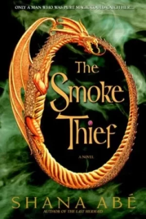 Image of The smoke thief by Shana Ab