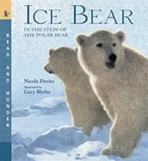Image of ice bear in the steps of the polar bear