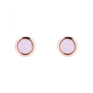 Image of Ted Baker Ladies Rose Gold Plated Sinaa Crystal Stud Earring