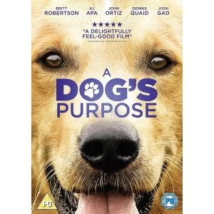 Image of A Dog's Purpose DVD