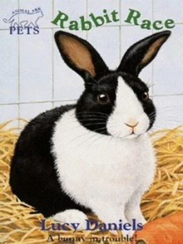 Image of Rabbit Race by Lucy Daniels Paperback