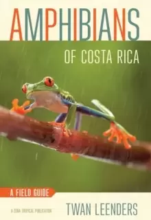 Image of Amphibians of Costa Rica : A Field Guide