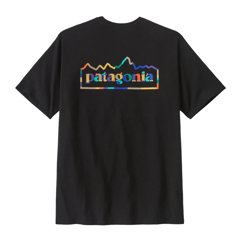 Image of T-Shirt Patagonia Unity Fitz Noir Male S