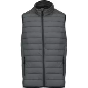 Image of Kariban Mens Quilted Lightweight Down Bodywarmer (L) (Marl Dark Grey)