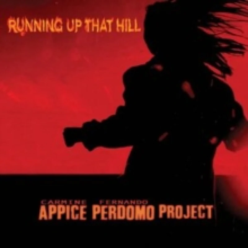 Image of Running up that hill CD / Album