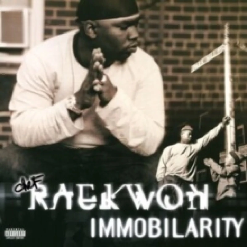 Image of Immobilarity (25th Anniversary Edition) Vinyl