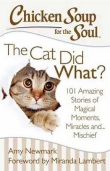 Image of Chicken Soup for the Soul by Amy Newmark Book