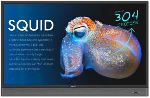 image of BenQ RM8601K 86" 4K Interactive Touch Screen Display