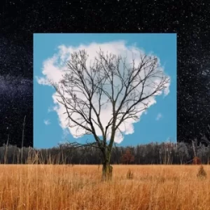 Image of Bloom Innocent by Fink CD Album
