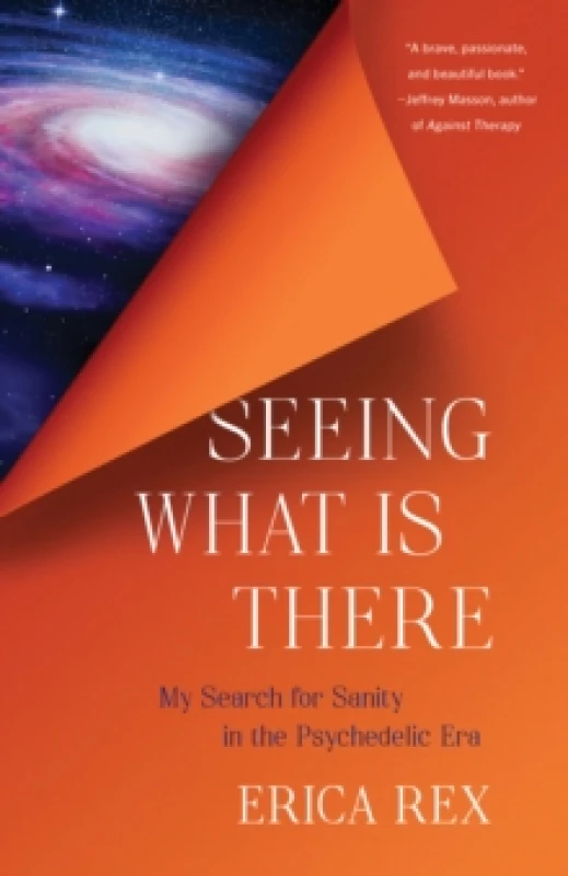 Image of Seeing What Is There : My Search for Sanity in the Psychedelic Era Paperback / softback