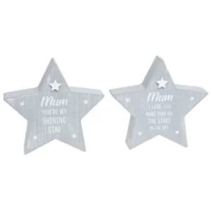 Image of Cool Grey Standing Star Mum