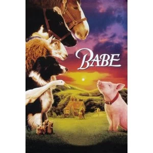 Image of Babe DVD