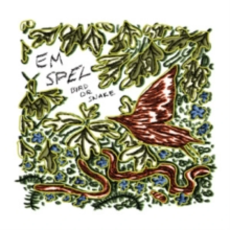 Image of Bird Or Snake Vinyl