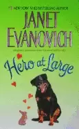 Image of hero at large