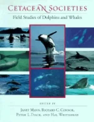 Image of cetacean societies field studies of dolphins and whales