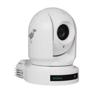 Image of BIRDDOG Eyes P200W