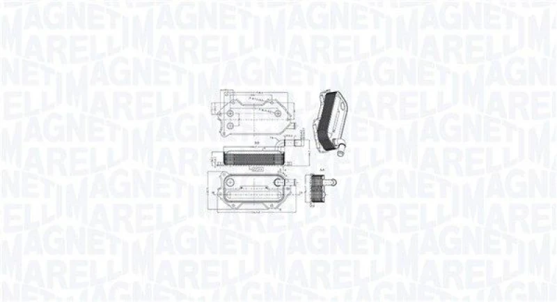 Image of MAGNETI MARELLI Engine oil cooler MAGNETI MARELLI 350300003000