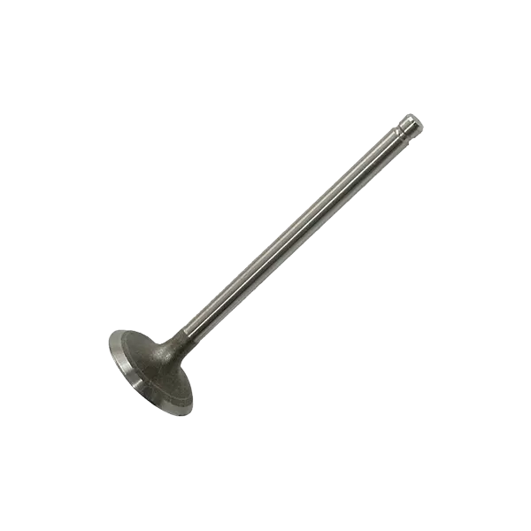 image of IPSA Inlet Valves Chromed valve stem VL186800 Intake Valves,Inlet Valve AUDI,A6 Avant (4F5, C6),A6 Limousine (4F2, C6)