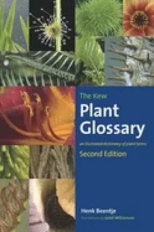 Image of kew plant glossary