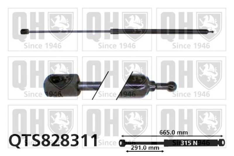 Image of QUINTON HAZELL Bonnet strut QUINTON HAZELL QTS828311
