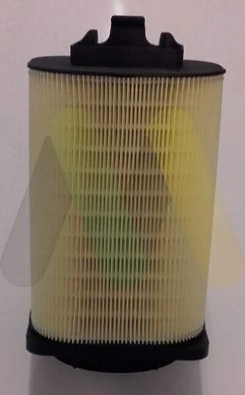 Image of MOTAQUIP Air filter MOTAQUIP LVFA1563