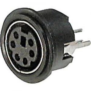 Image of Mini DIN connector Socket vertical vertical Number of pins 4 Black ASSMANN WSW A DIO TOP04