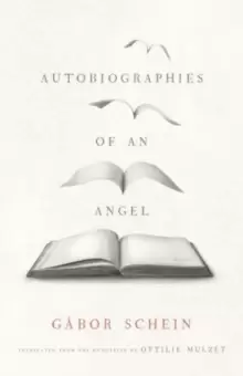 Image of Autobiographies of an Angel : A Novel