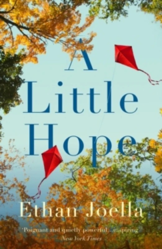 Image of A Little Hope Paperback / softback