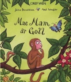 Image of Mae Mam Ar Goll by Julia Donaldson Paperback