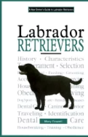 Image of labrador retrievers