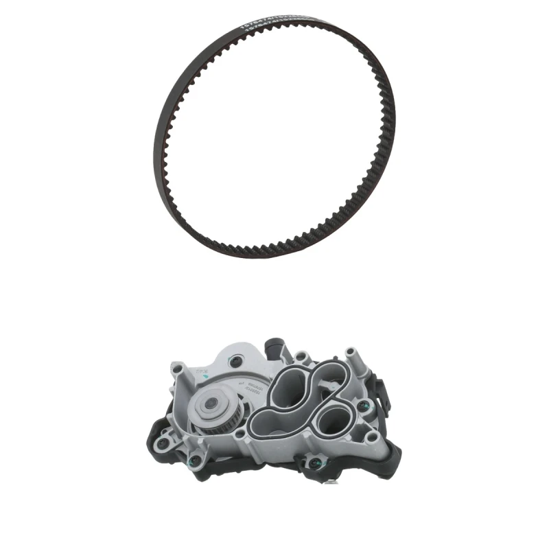 Image of RIDEX 3096W0488 Water Pump + Timing Belt Kit with gaskets/seals, Number of Teeth: 81, with bolts/screws Water Pump & Timing Belt Kit (3096)