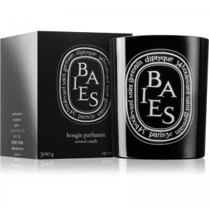 Diptyque Baies Scented Candle 300g